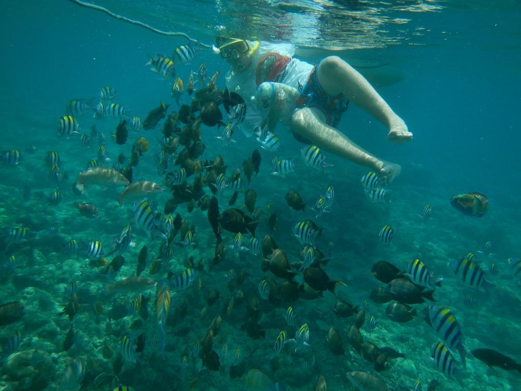 II Bungalow Gili Meno Exteriör bild